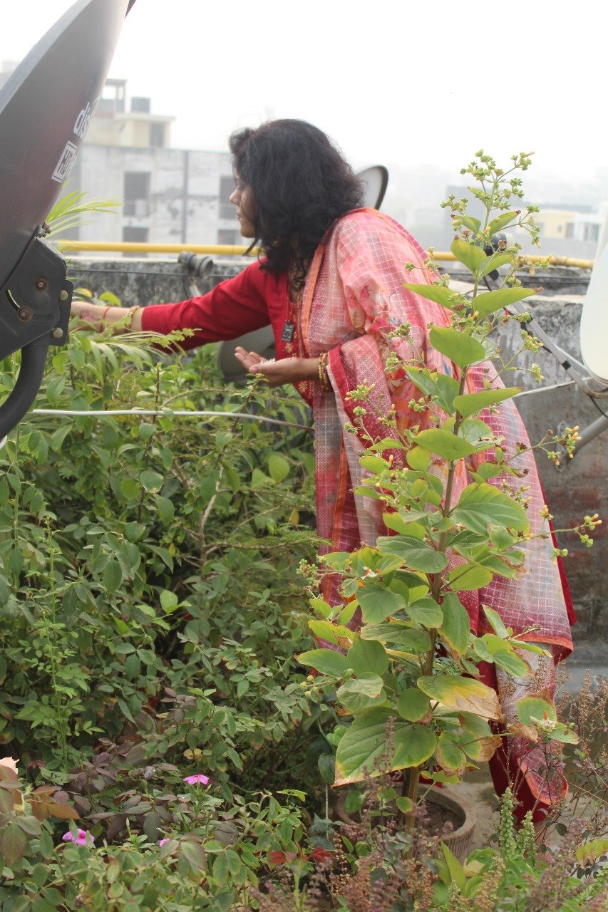Ms Ritu Chauhan