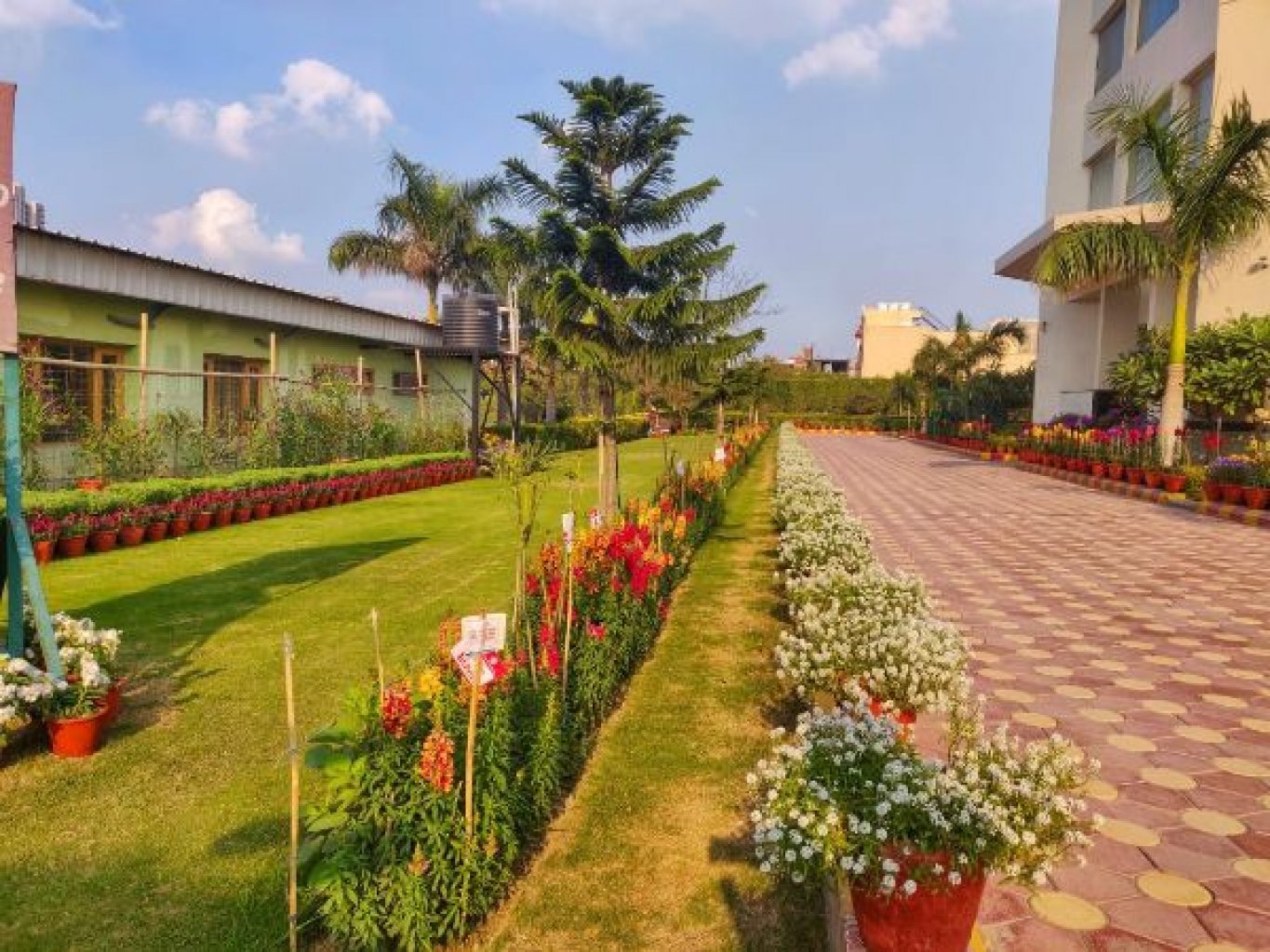 School Infrastructure